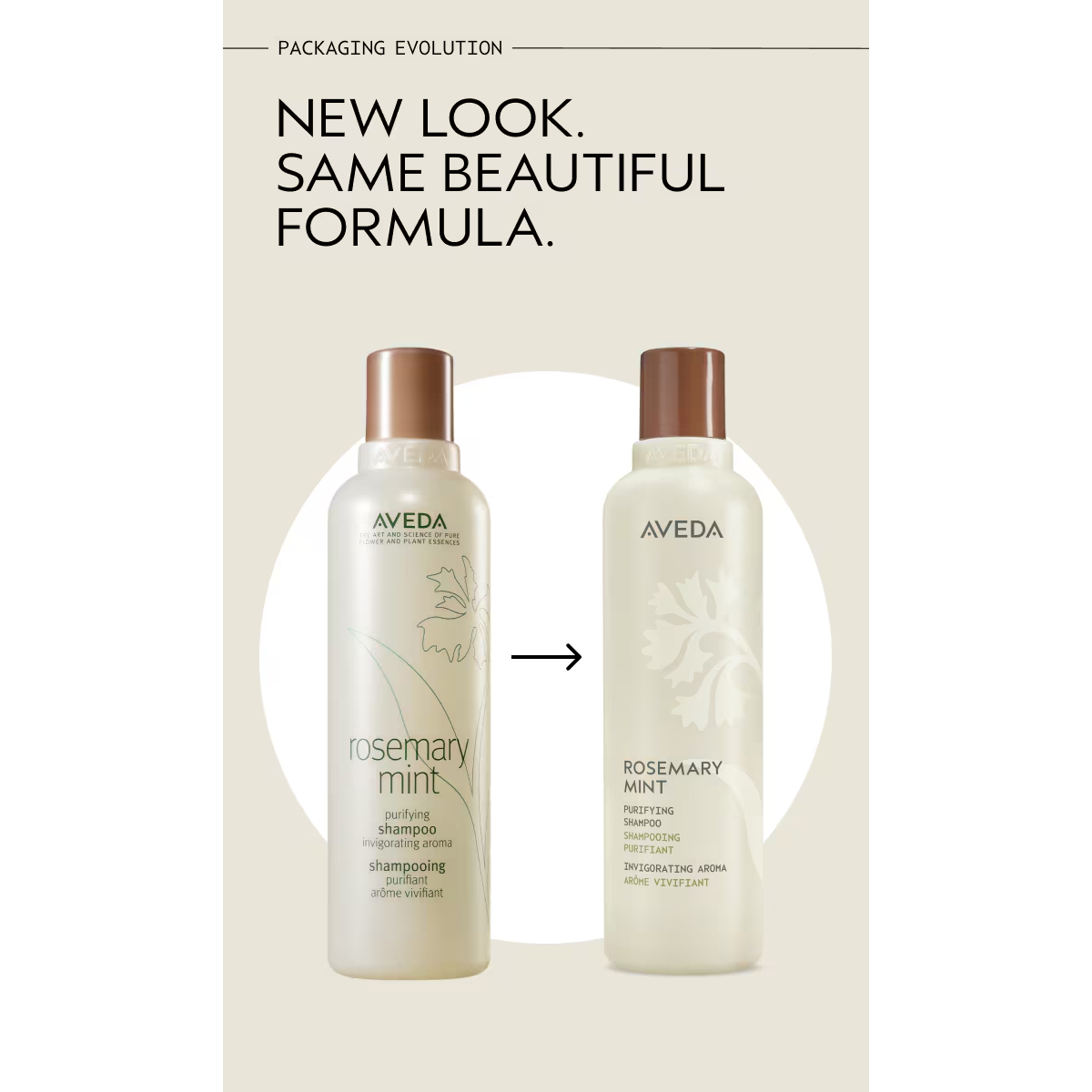 Before and after image of Rosemary Mint Shampoo bottle packaging featuring updated text and branding. - SAAB Salon Spa | Ottawa On, Canada
