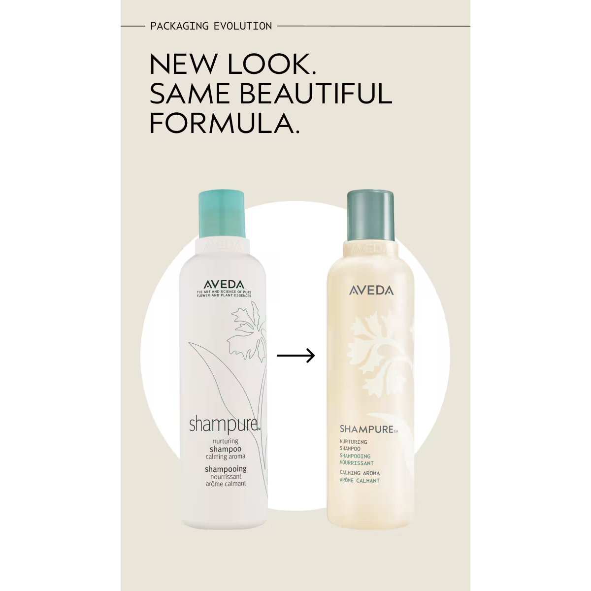 A side-by-side comparison of old and new Shampure Nurturing Shampoo bottle packaging, with the text “New look. Same beautiful formula.” above. - SAAB Salon Spa | Ottawa On, Canada