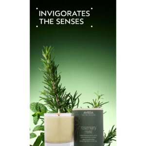 A Rosemary Mint Vegan Soy Wax Candle in a glass jar sits next to its label, surrounded by sprigs of rosemary and mint leaves, with the text “INVIGORATES THE SENSES” above. - SAAB Salon Spa | Ottawa On, Canada