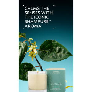 A Shampure Candle in a glass jar sits next to its box below a green plant branch and text that reads: “Calms the senses with the iconic shampure aroma.” - SAAB Salon Spa | Ottawa On, Canada