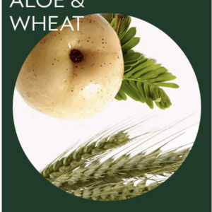 A round beige fruit, aloe leaves, and wheat stalks appear inside a white circle on a dark green background with the text