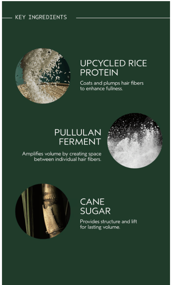 The Abundant Blowout All-Over Volumizing Spray features upcycled rice protein, pullulan ferment, and cane sugar—each highlighted with a brief description and image. - SAAB Salon Spa | Ottawa On, Canada