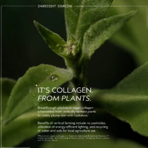 Close-up of green leaves with text overlay introducing Advanced Botanical Kinetics Vitality Serum, featuring vegan collagen from vertically-farmed plants and highlighting the skincare benefits of vertical farming. - SAAB Salon Spa | Ottawa On, Canada