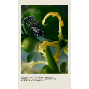 Close-up of yellow ylang-ylang, purple lavender, and green leaves highlights Tousle Texture’s key ingredients: lavender, petitgrain, ylang-ylang, and plant essences. - SAAB Salon Spa | Ottawa On, Canada
