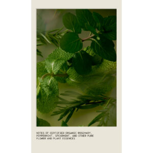 Alternative view of Rosemary Mint Foaming Hand Wash
