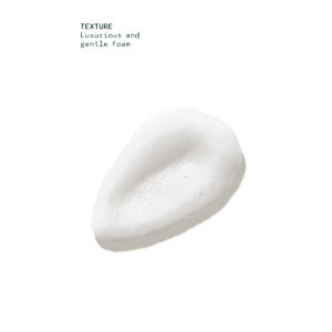 Shampure Foaming Hand Wash - Image 5