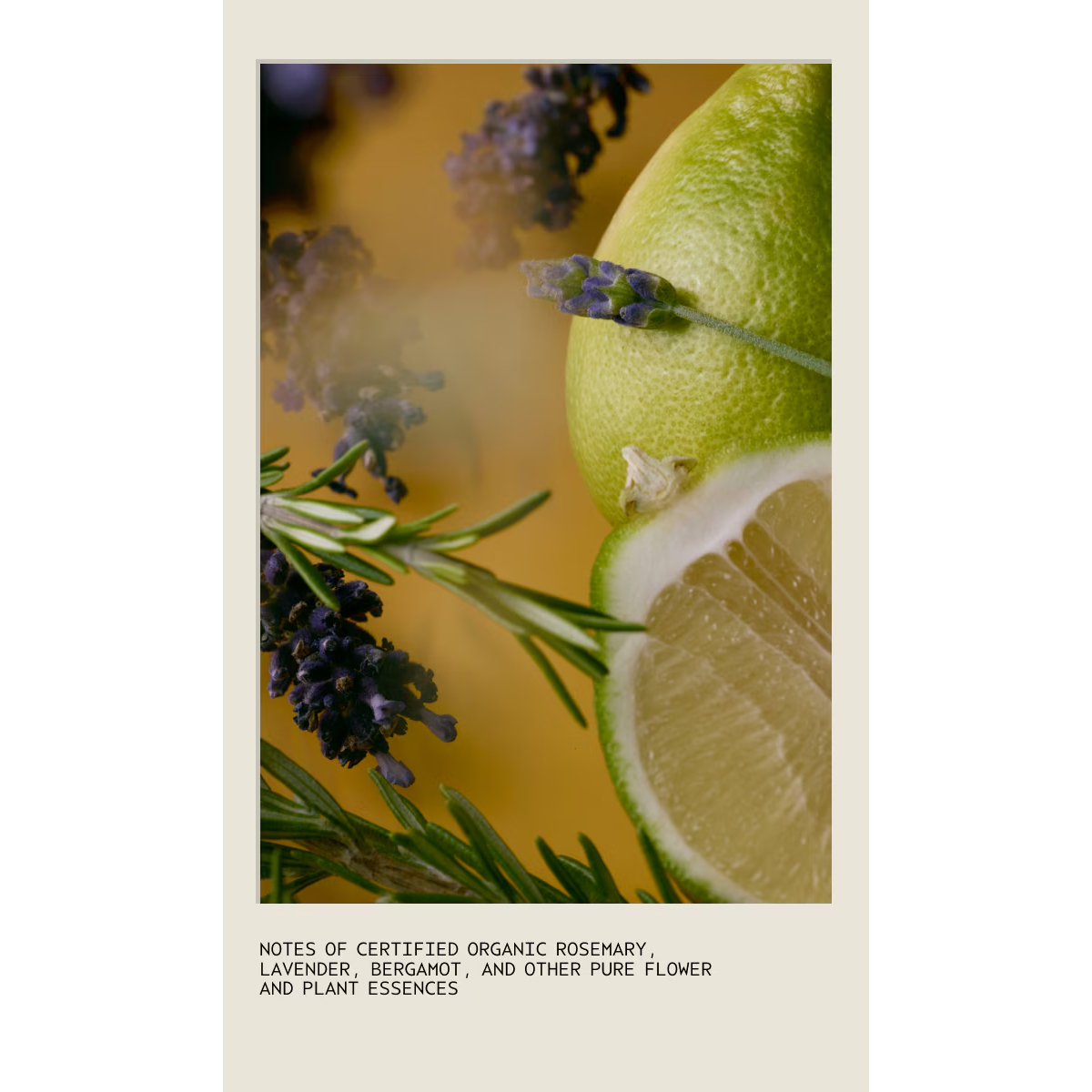 Beautifying Body Wash displayed with a halved lime, lavender sprigs, and rosemary leaves, with text listing organic rosemary, lavender, bergamot, and other plant essences. - SAAB Salon Spa | Ottawa On, Canada
